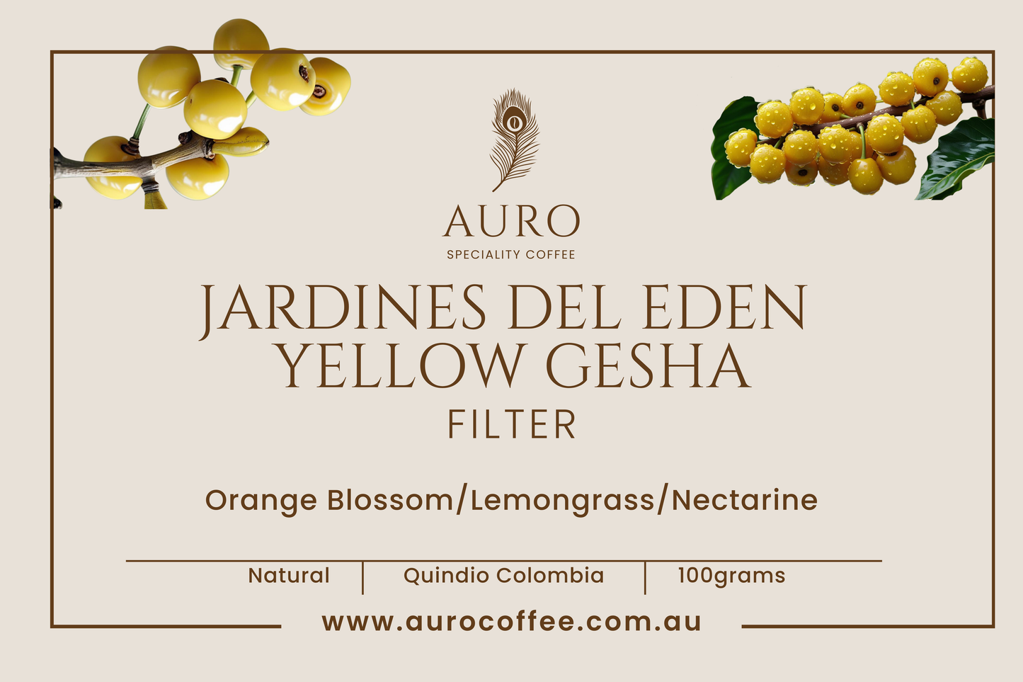 Jardines Del Eden Yellow Gesha 100gm tin