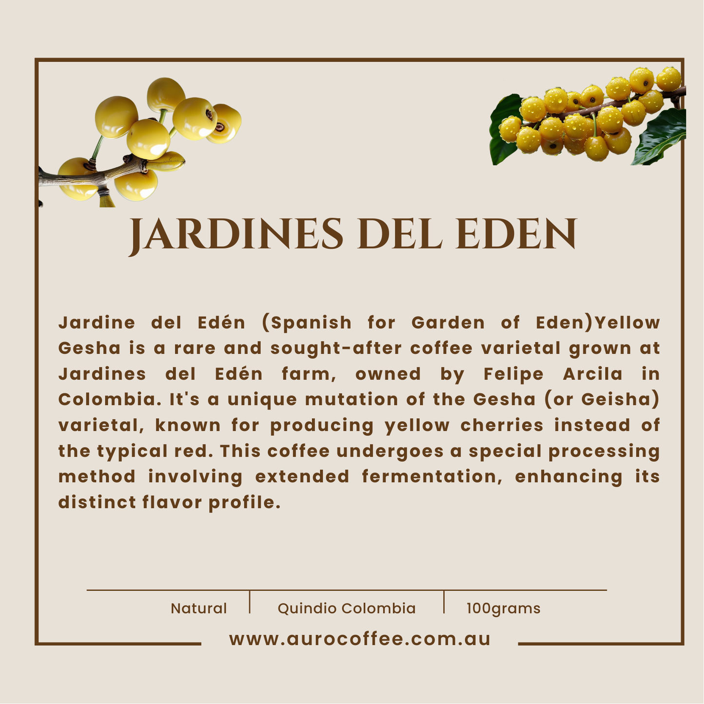 Jardines Del Eden Yellow Gesha 100gm tin