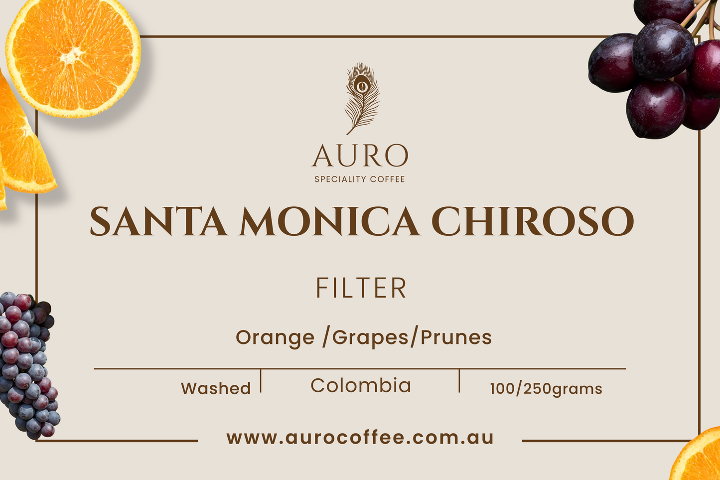 SANTA MONICA CHIROSO WASHED 250gm
