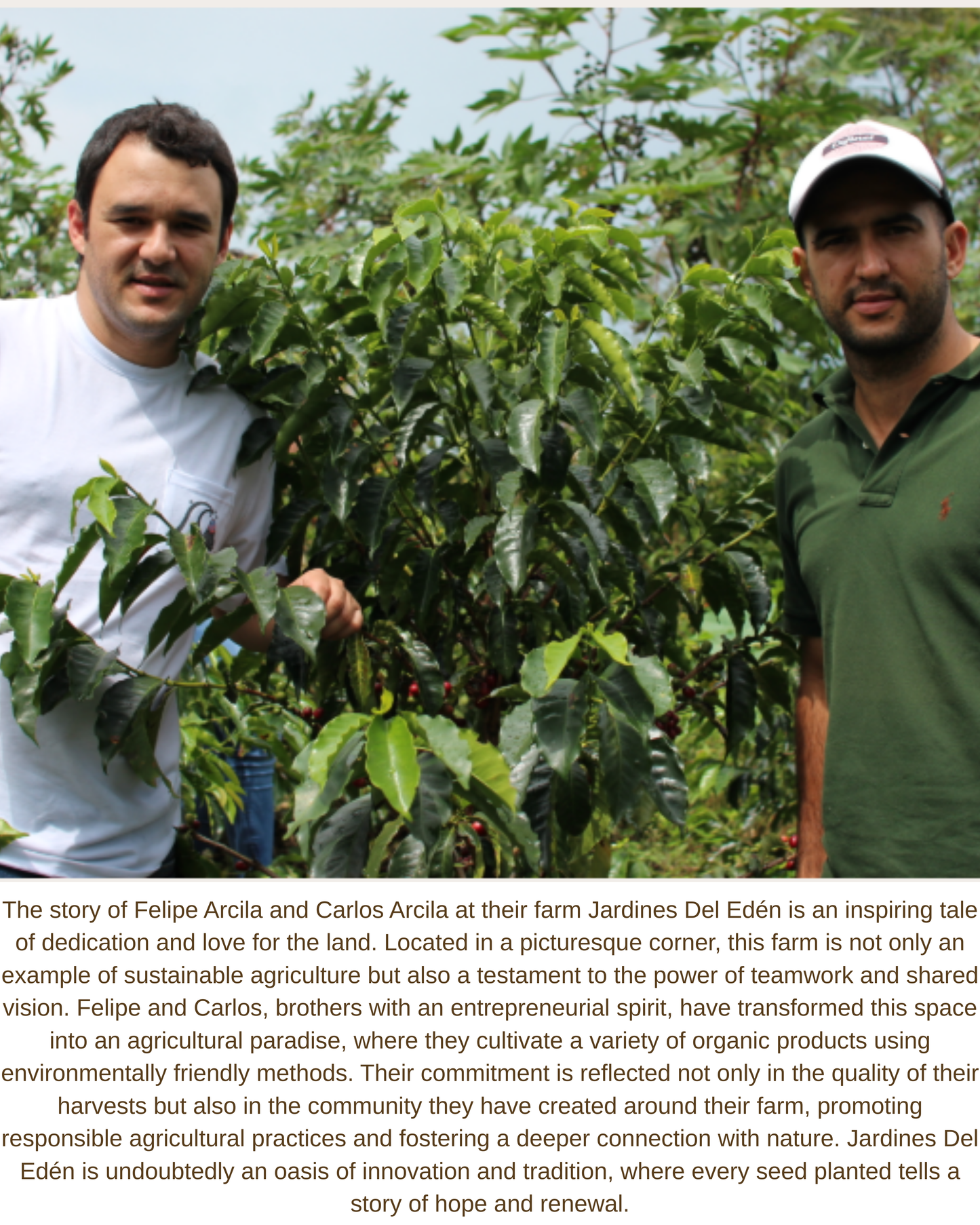 Orange WUSH WUSH Jardines Del Eden 250gm