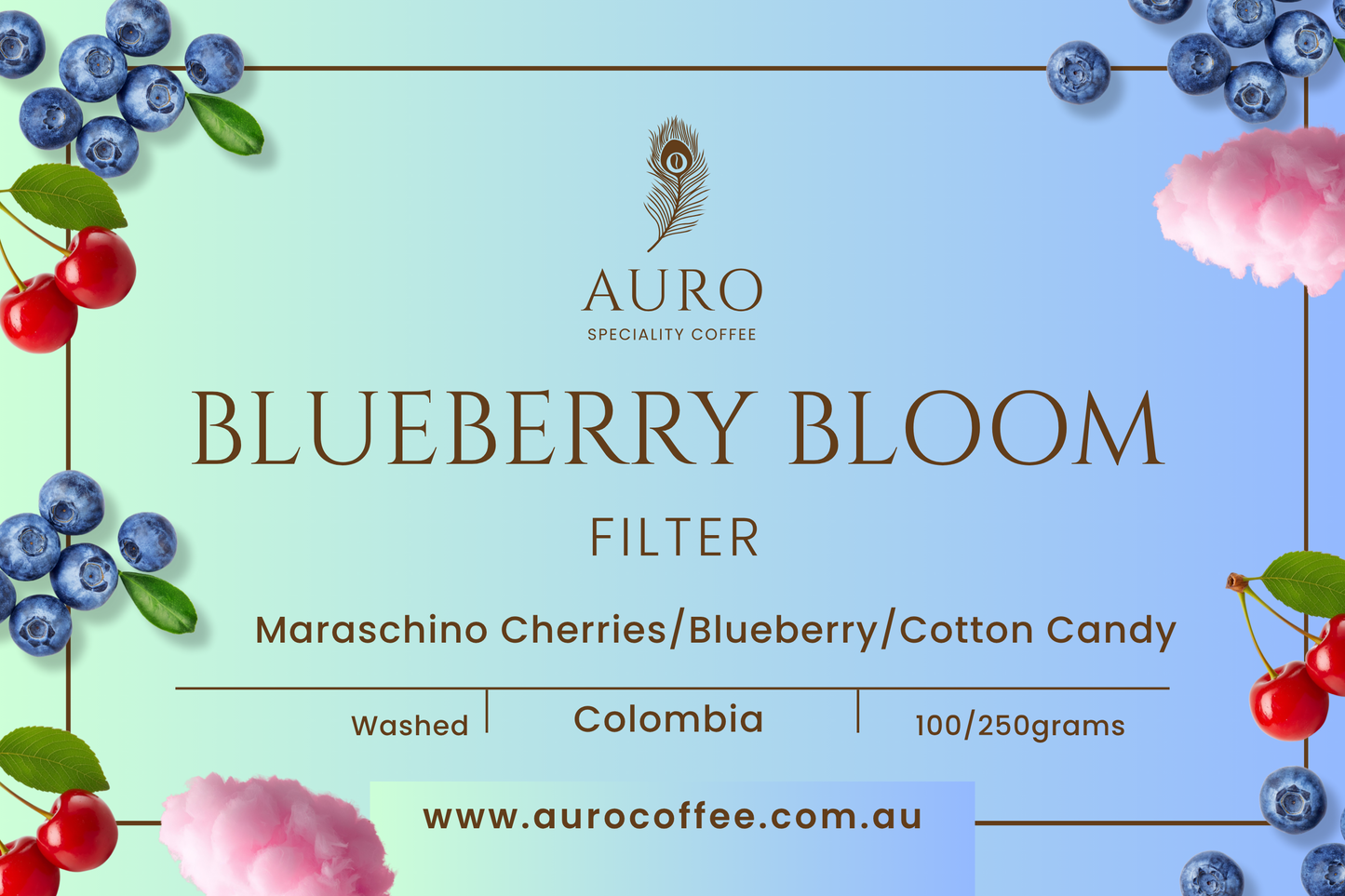 BLUEBERRY BLOOM