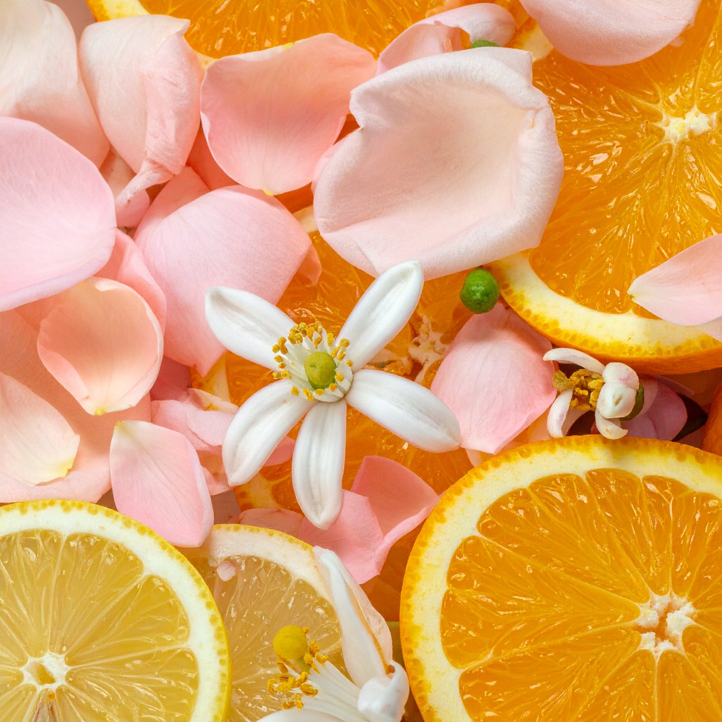 Jardines Del Eden Yellow Gesha 200gm