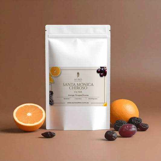 SANTA MONICA CHIROSO WASHED 250gm